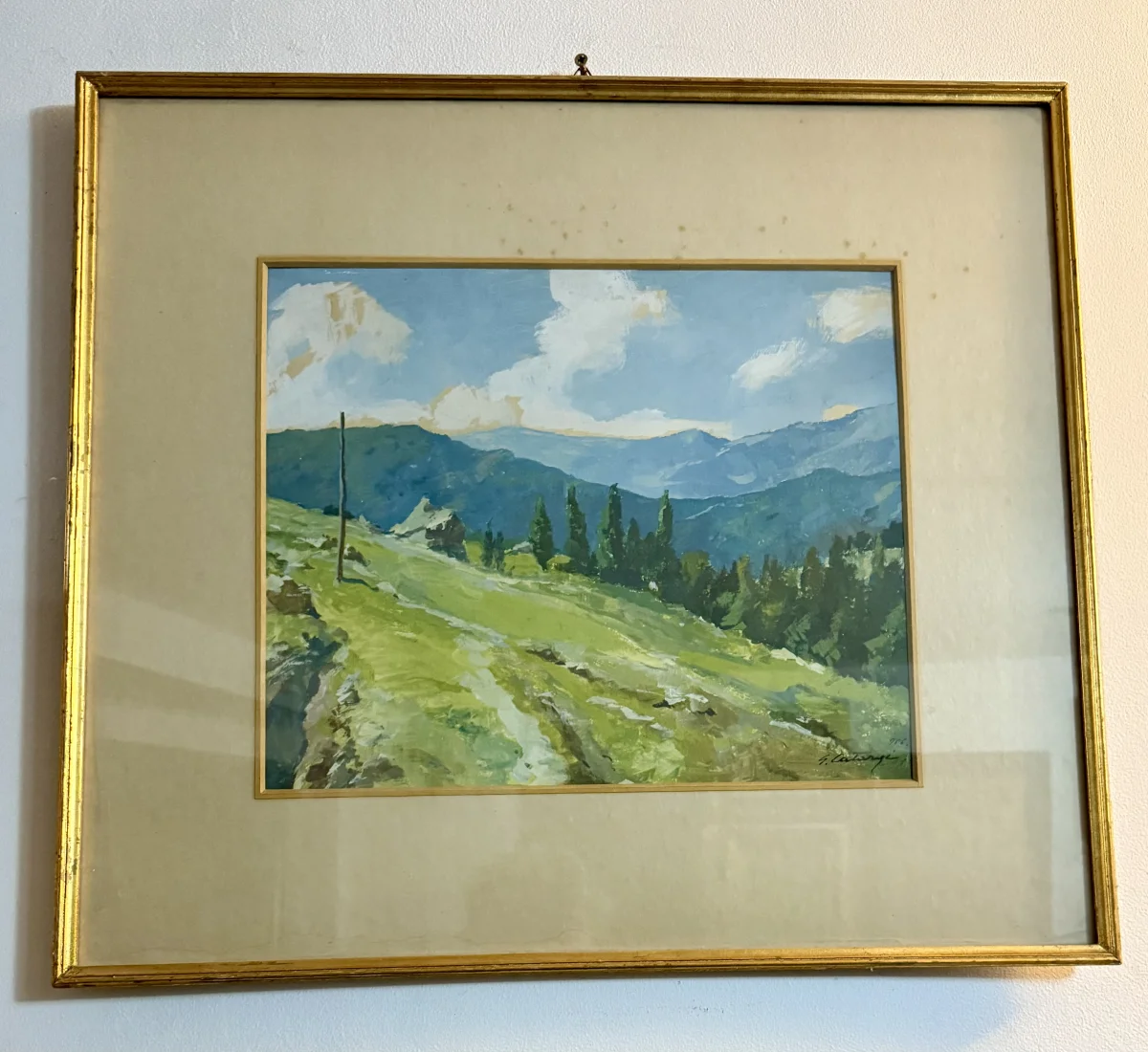 Peisaj montan